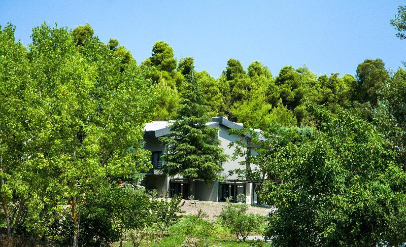 Sani More & Sani Woods (Adults Only) Buitenkant foto